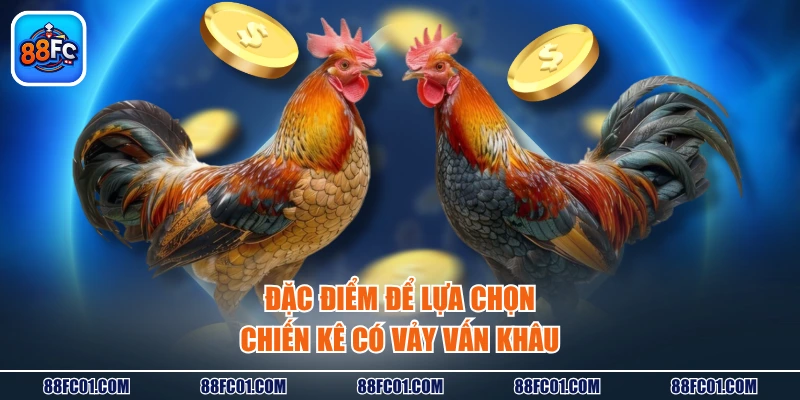 Đặc điểm để lựa chọn chiến kê có vảy vấn khâu